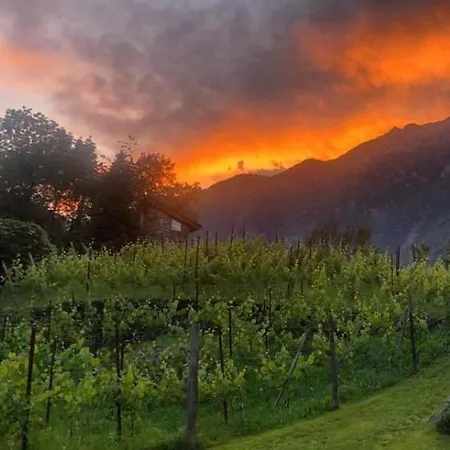 Agriturismo Torrescilano *