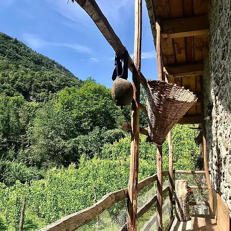 Agriturismo Torrescilano Piuro